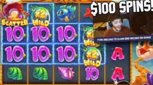 Wild Depths max win video 2