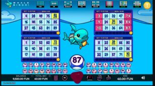 @Whale Bingo demo play free 3