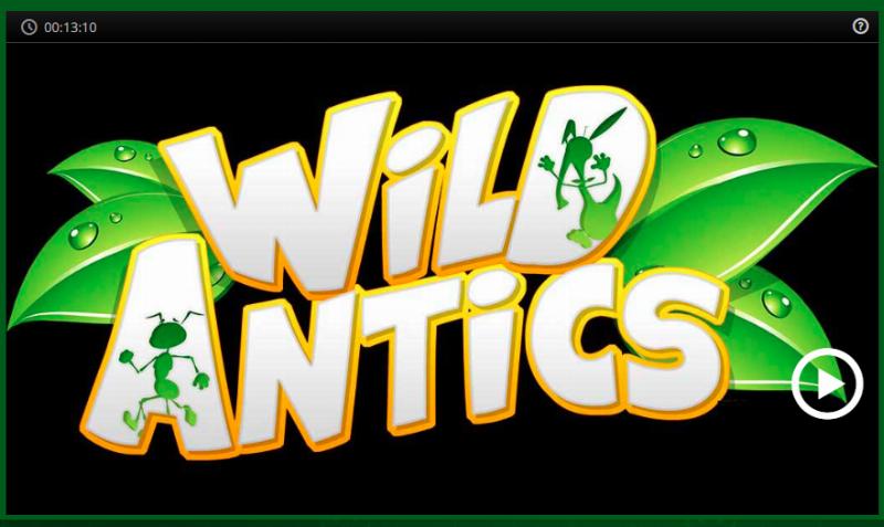 Wild Antics