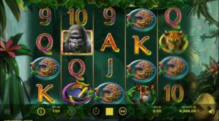 Gorilla Kingdom demo play free 0