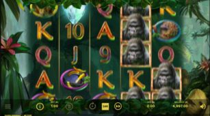 Gorilla Kingdom demo play free 1