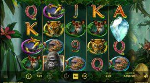 Gorilla Kingdom demo play free 3