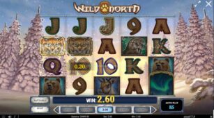 Wild North (Play’n Go) demo play free 3