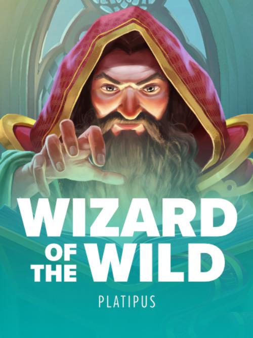 Wizard Of The Wild