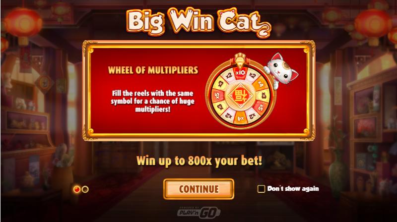 Big Win Cat
