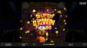 Pushy Cats max win video 1