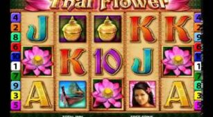 Thai Flower max win video 0