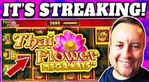 Thai Flower max win video 1