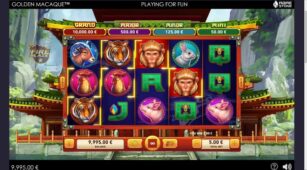 Golden Macaque demo play free 1