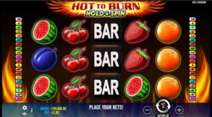 Hot To Burn Hold And Spin demo play free 2