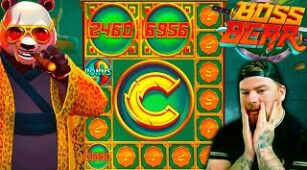 Boss Bear max win video 0