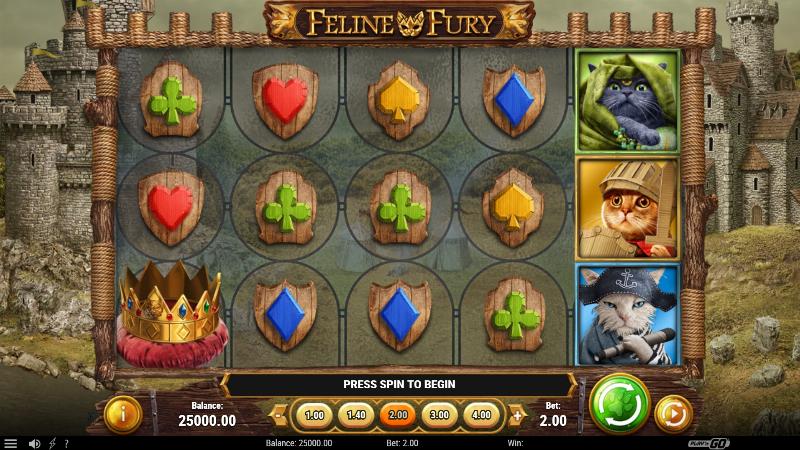 Feline Fury