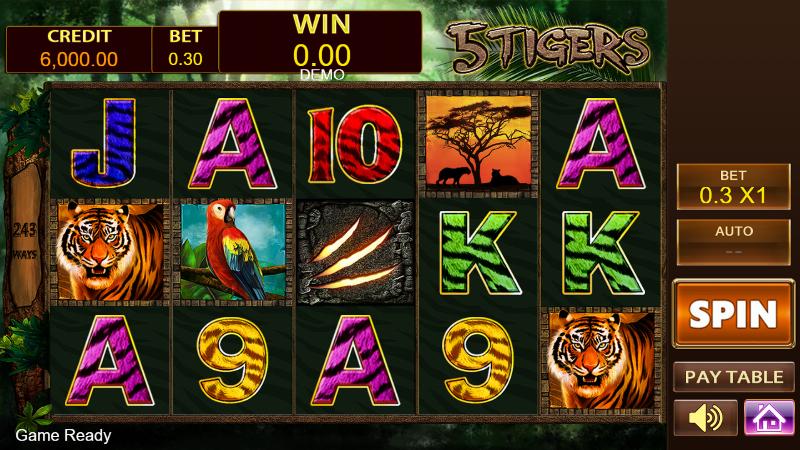 5 Tigers