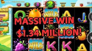 Reel Fruitz Frenzy! max win video 0