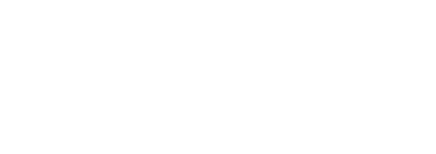 Need For Spin logo