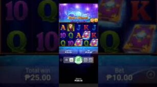 Book Of Wizard max win video 1