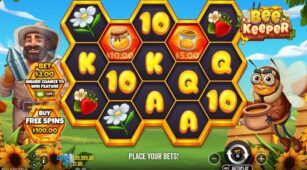Bee Keeper demo play free 0