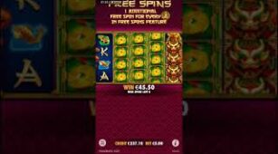 Lucky Dragons max win video 1
