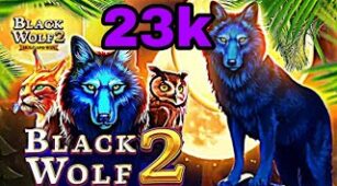 Black Wolf 2 max win video 1