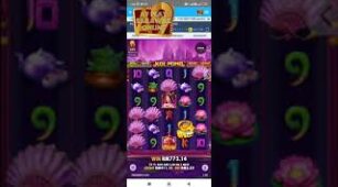Koi Pond max win video 0