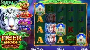 Tiger Gems max win video 0