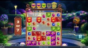 Buggin max win video 1