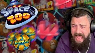 Space Zoo max win video 0