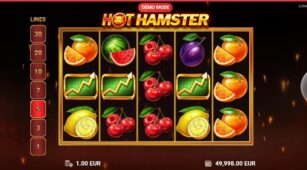 Hot Hamster demo play free 2