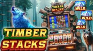 Timber Stacks max win video 1