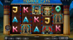 Temple Cats demo play free 1