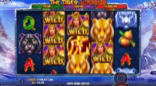 The Tiger Warrior demo play free 3