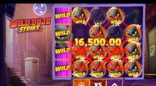 Wild Dojo Strike max win video 1