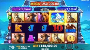 Himalayan Wild max win video 0