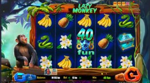 Lazy Monkey demo play free 0