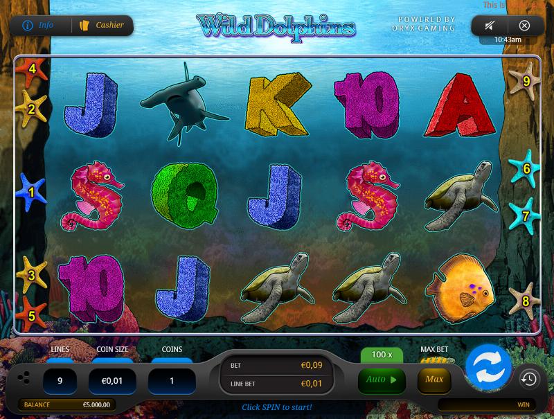 Wild Dolphins