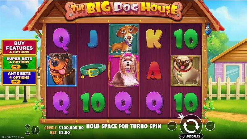 The Big Dog House