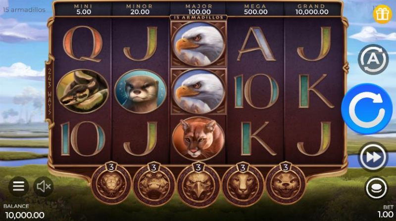 15 Armadillos