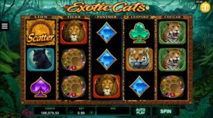Exotic Cats demo play free 3