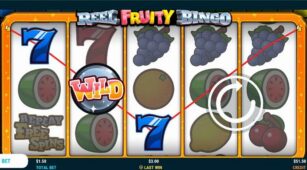 Reel Fruity Bingo demo play free 1