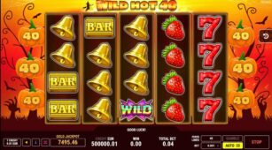 Wild Hot 40 Halloween demo play free 2