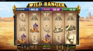 Wild Ranger demo play free 3