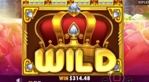 Juicy Fruits demo play free 0