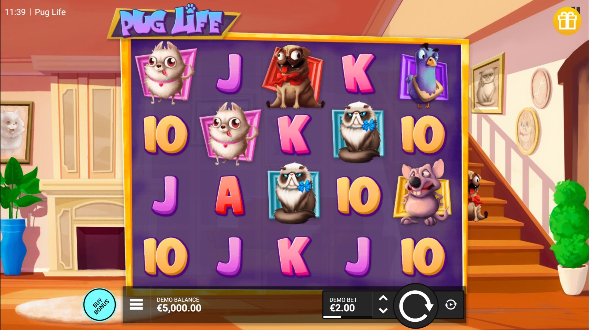 Pug Life