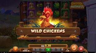Animal Madness demo play free 1