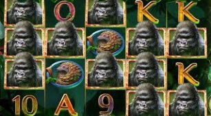 Gorilla Kingdom max win video 0