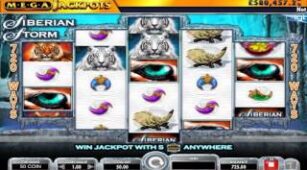 Siberian Storm max win video 0