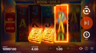 Book Of Gold Multichance demo play free 2
