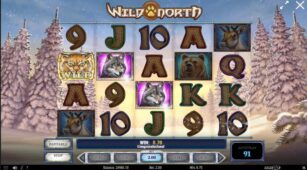 Wild North (Play’n Go) demo play free 1