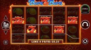Burn 7S Burn demo play free 0