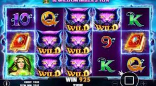 Wild Spells max win video 0